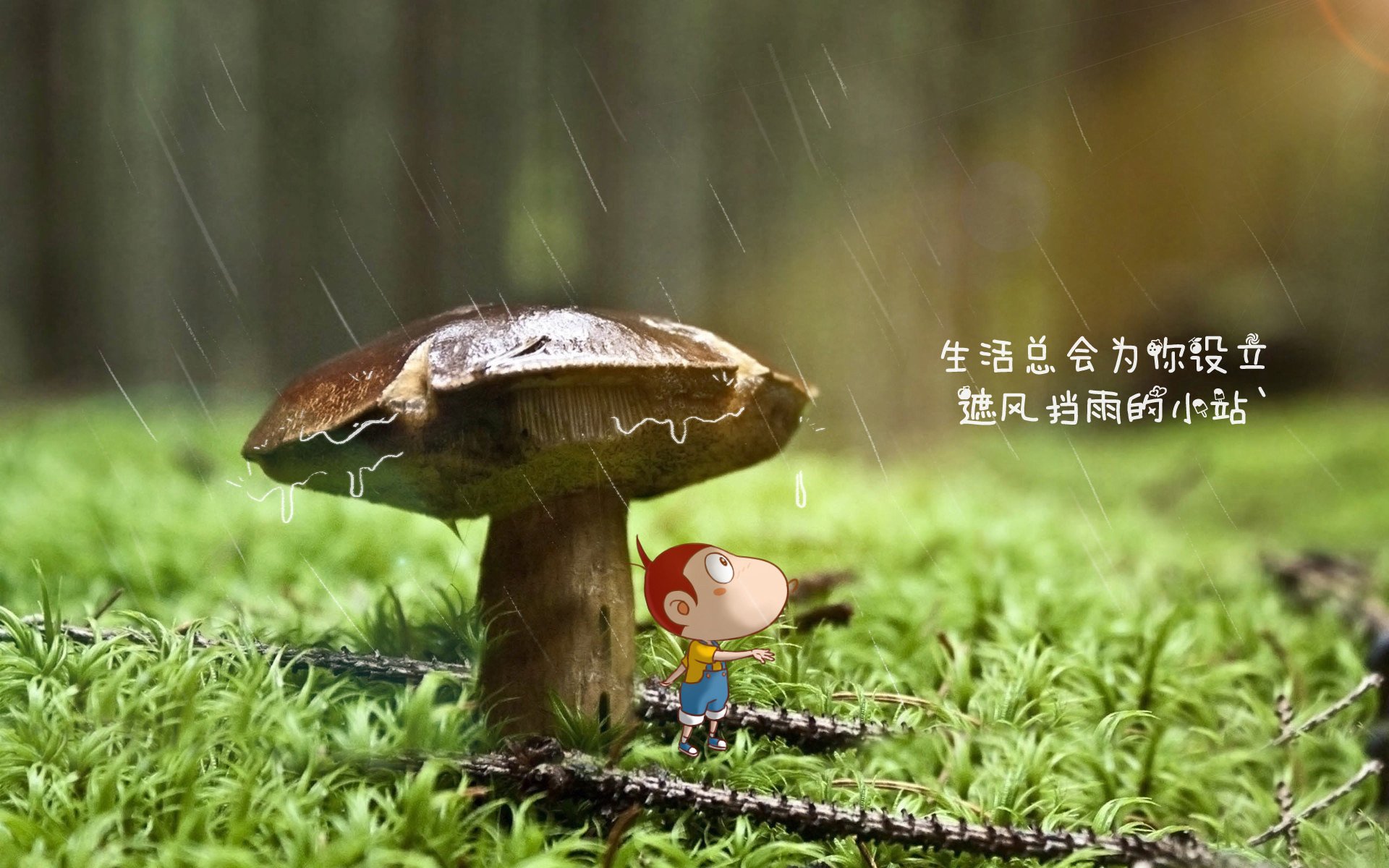 意大利球队掘金南美市场，转会传闻曝光，意大利队球迷