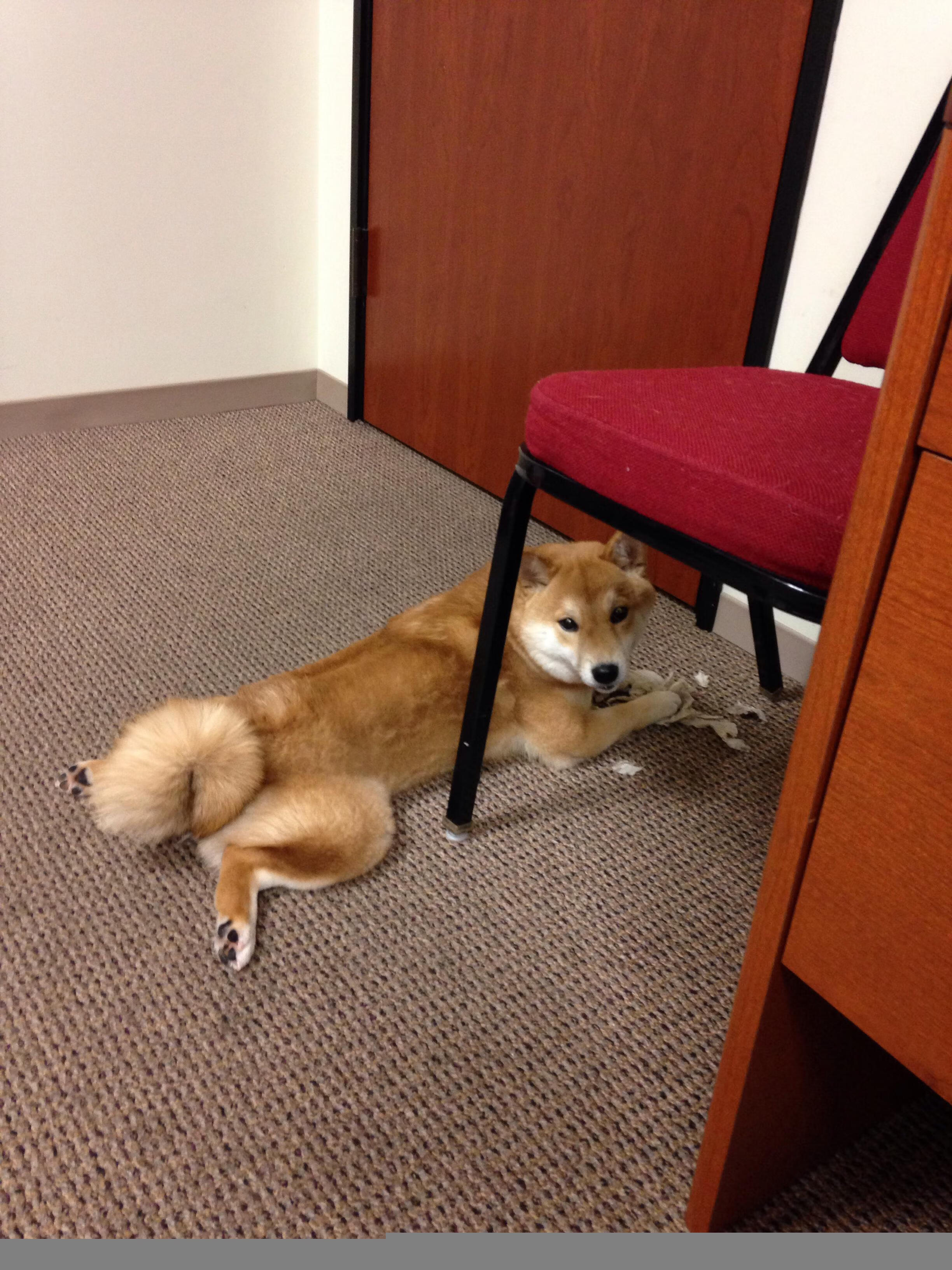 弗赖堡中后场连线构建稳定体系,弗赖堡主帅