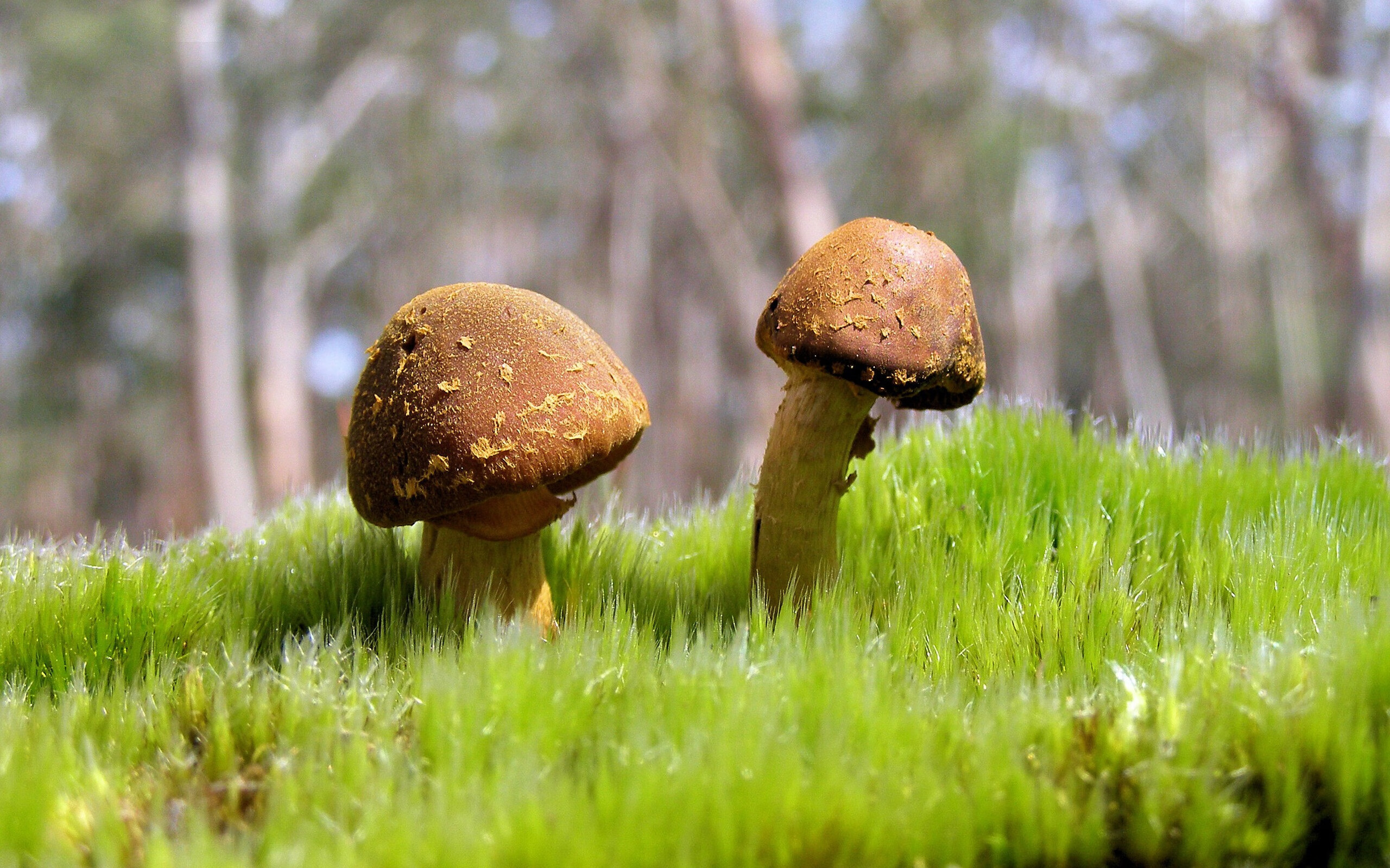 开云·体育官网APP下载-丁俊晖点评年轻选手称未来可期，丁俊晖可爱