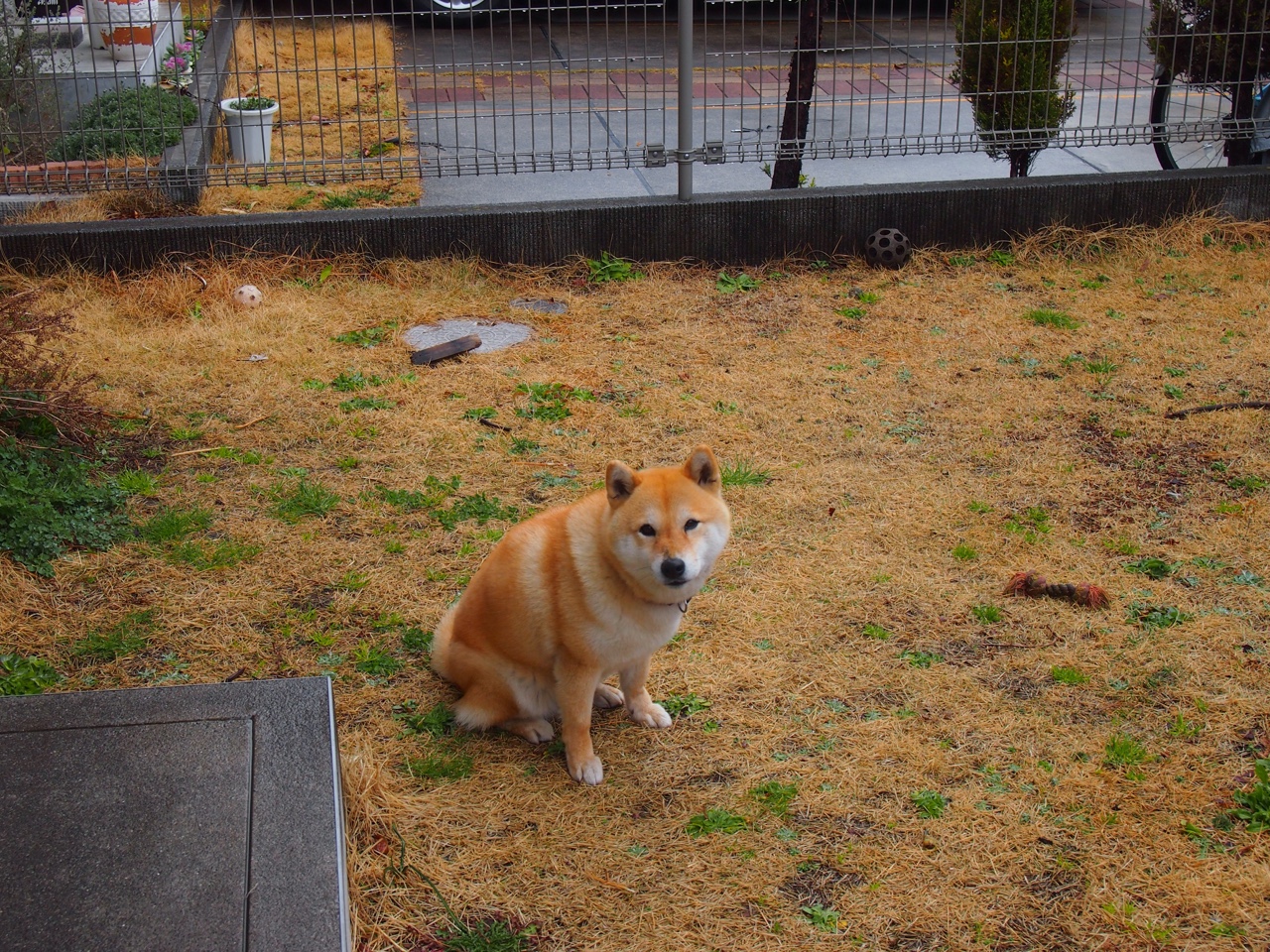 体育新闻中心黑马表现分析,体育新闻的网站