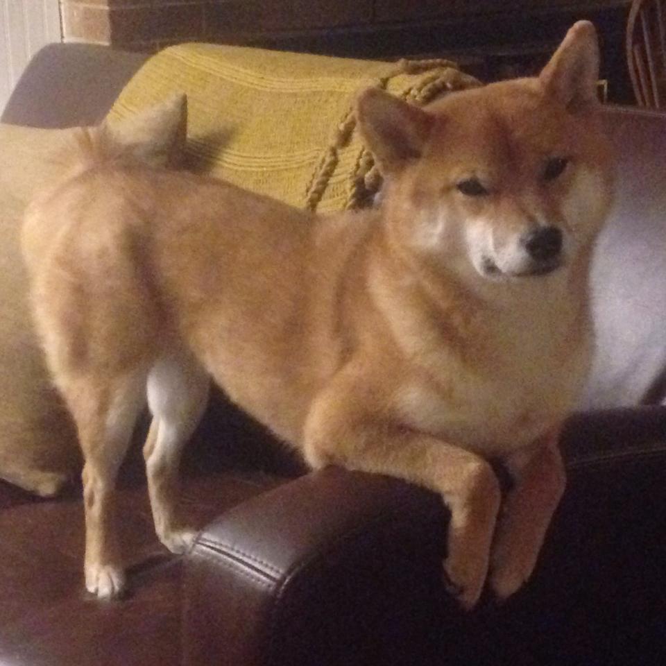 奇才提升转换进攻成功打乱对手节奏,奇才进攻效率