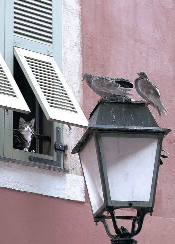 意甲绝佳配合:细腻传控成就经典,意甲官方最佳阵容