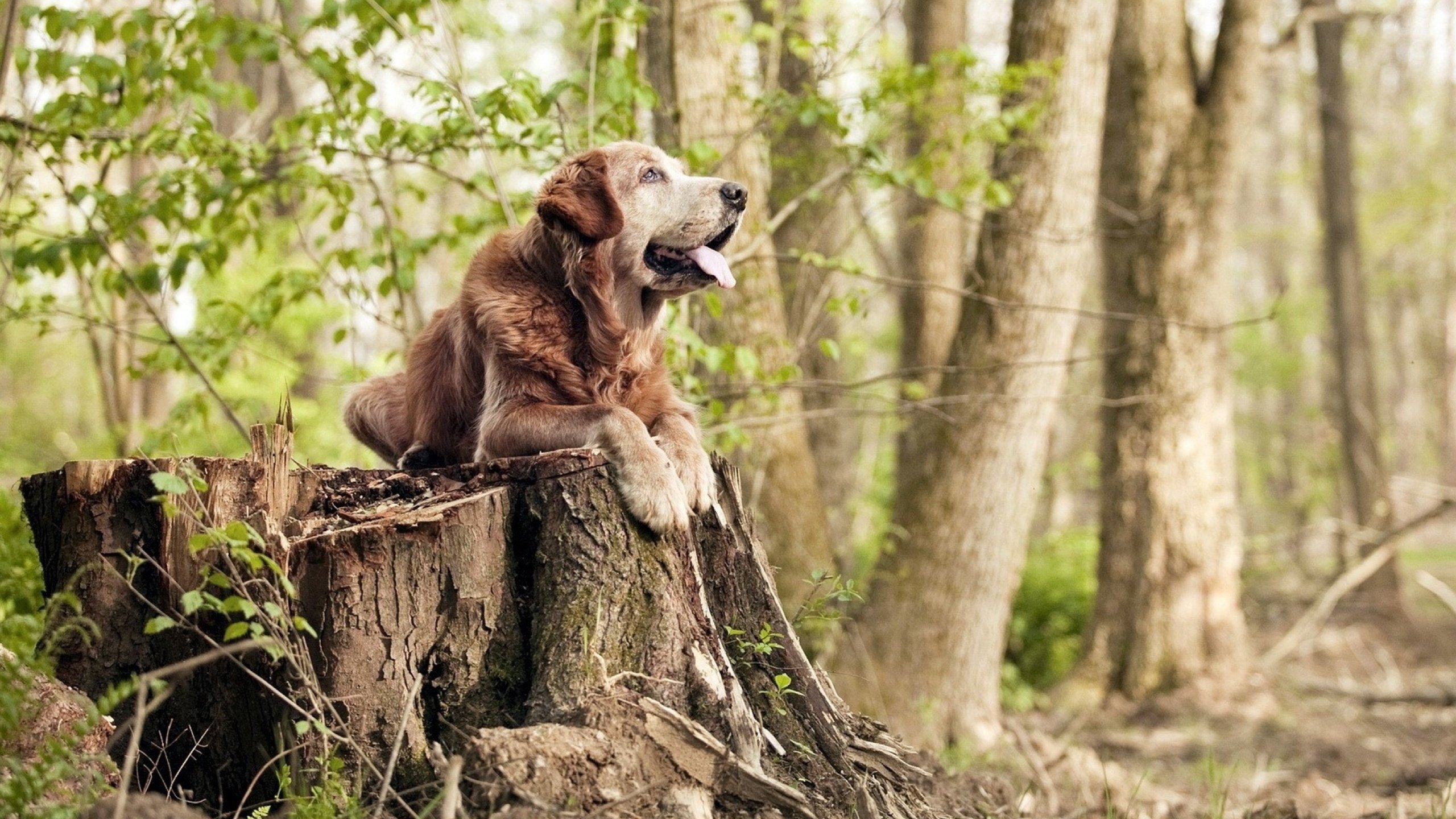王宗源冲刺阶段爆发力十足,王宗源比赛