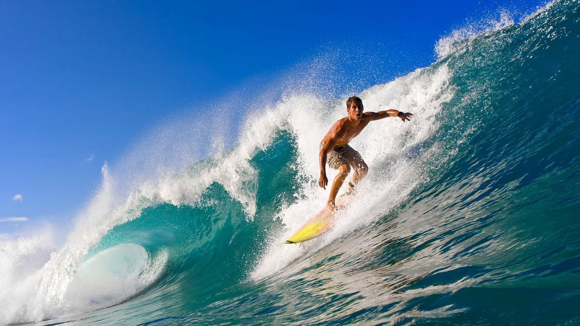 体育赛事数字化管理平台开发实践，体育数字化建设